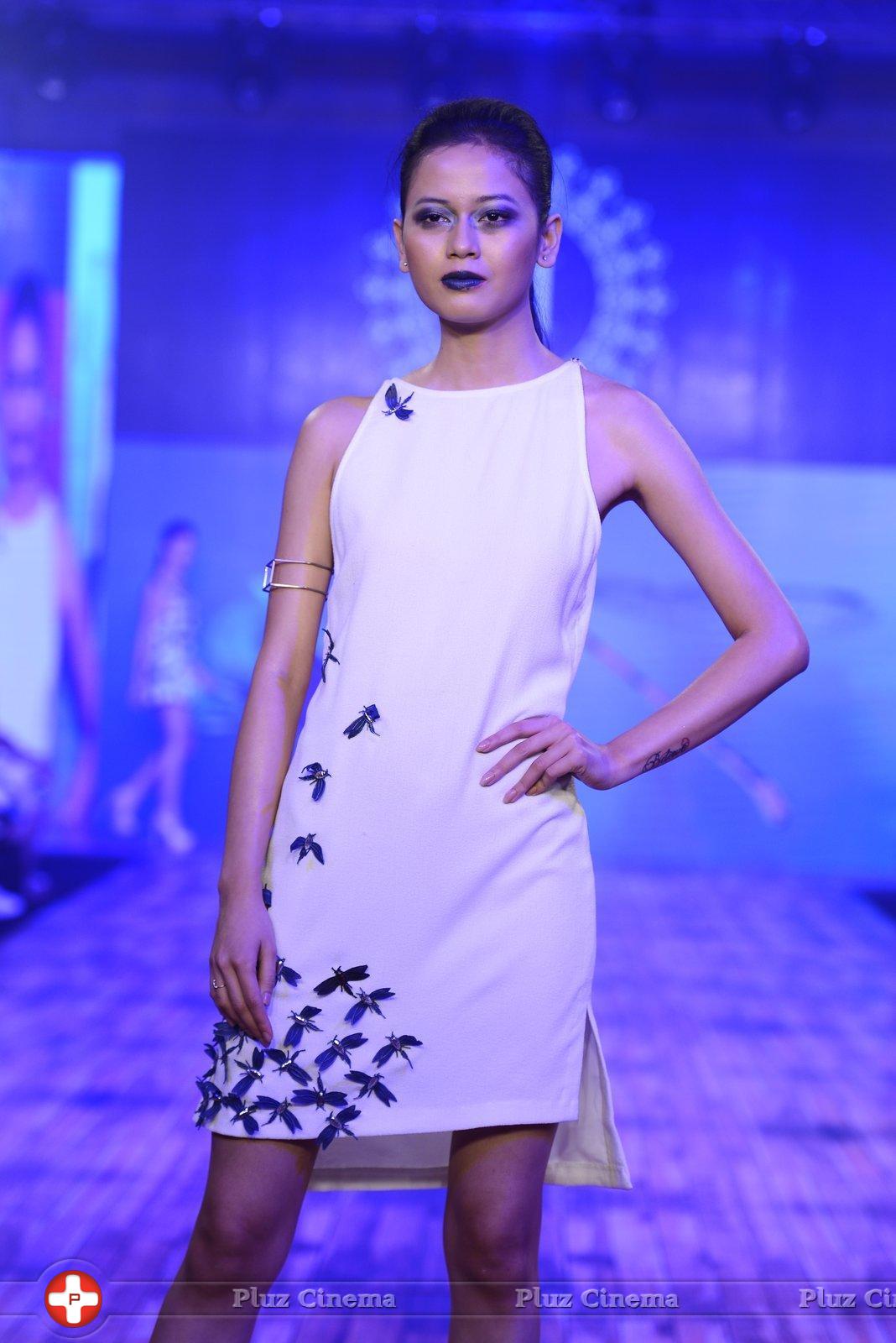 India Beach Fashion Week Day 1 All Shows with Showstoppers Stills | Picture 1321335