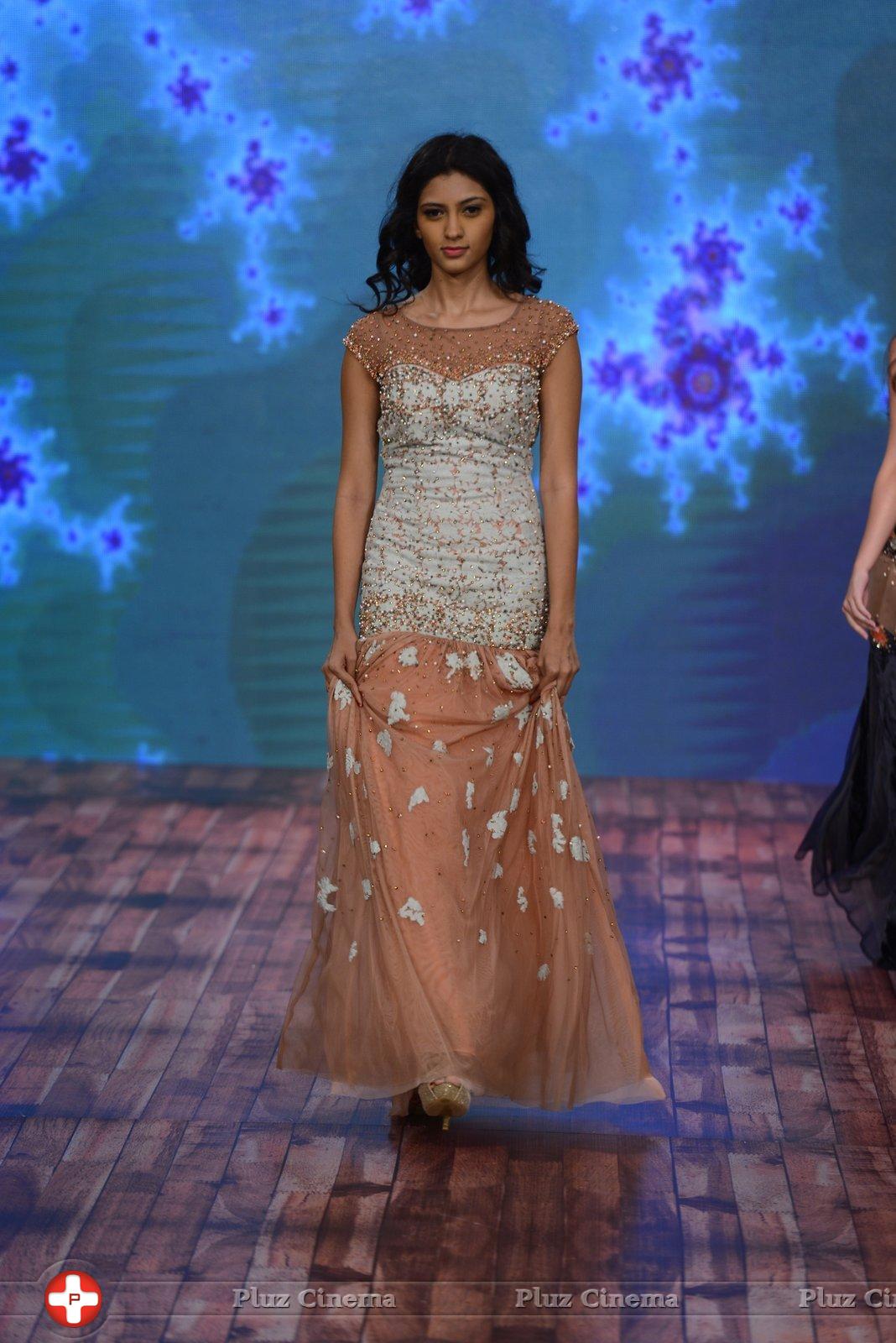 India Beach Fashion Week Day 1 All Shows with Showstoppers Stills | Picture 1321361