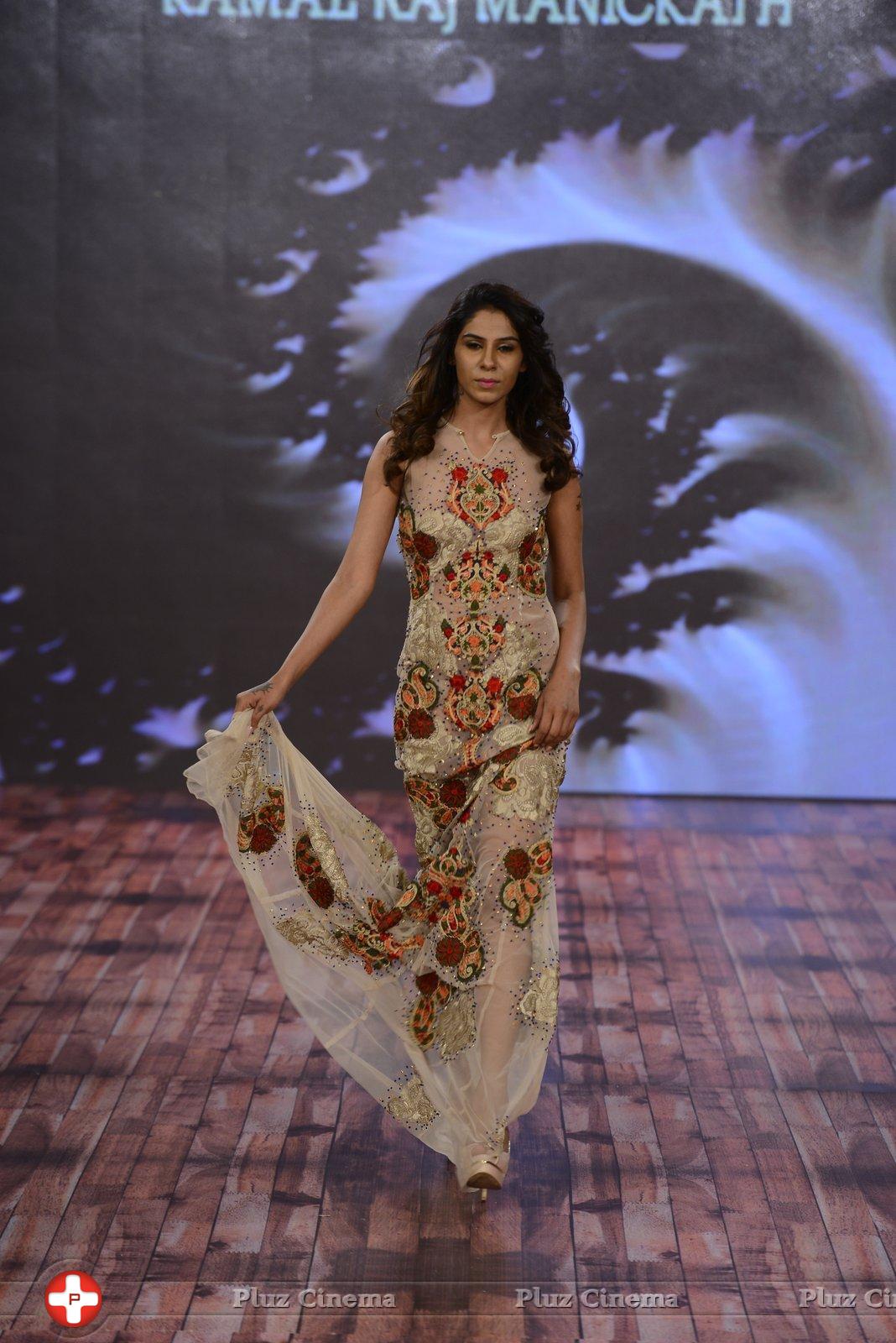 India Beach Fashion Week Day 1 All Shows with Showstoppers Stills | Picture 1321403