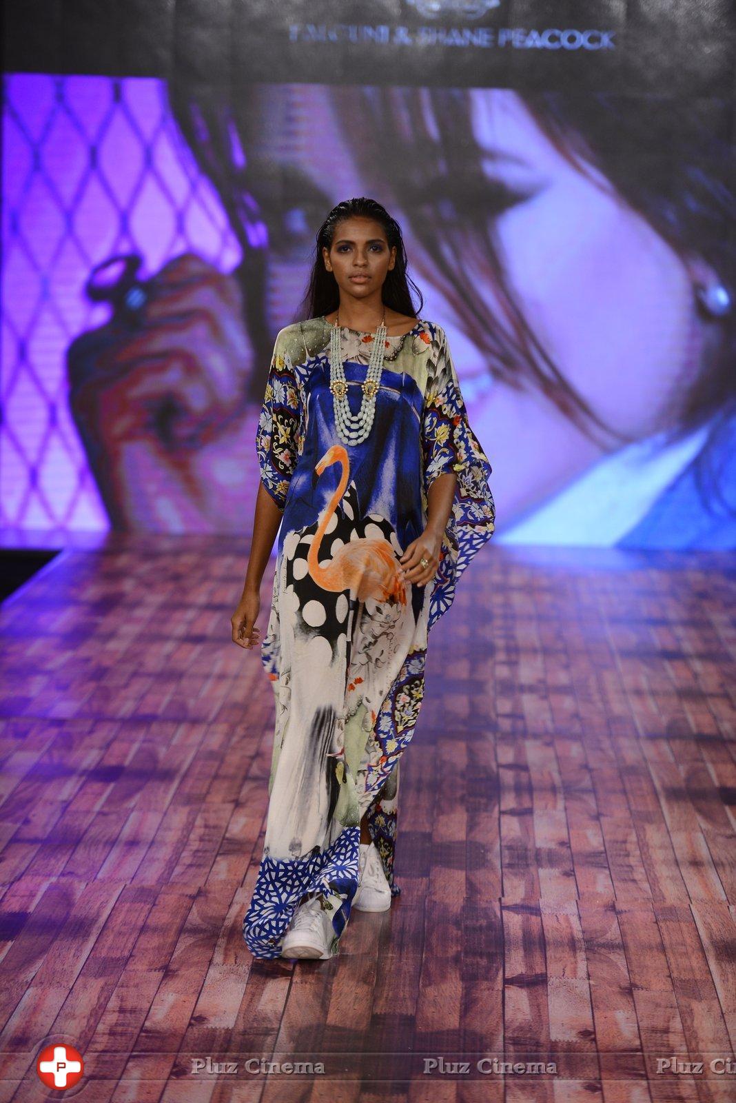 India Beach Fashion Week Day 1 All Shows with Showstoppers Stills | Picture 1321502