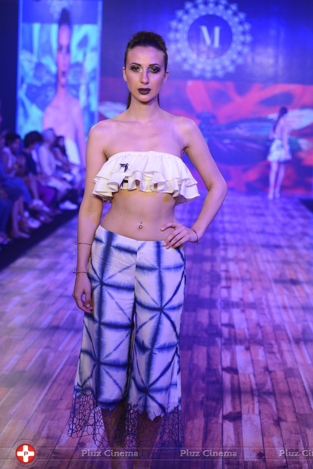 India Beach Fashion Week Day 1 All Shows with Showstoppers Stills | Picture 1321578