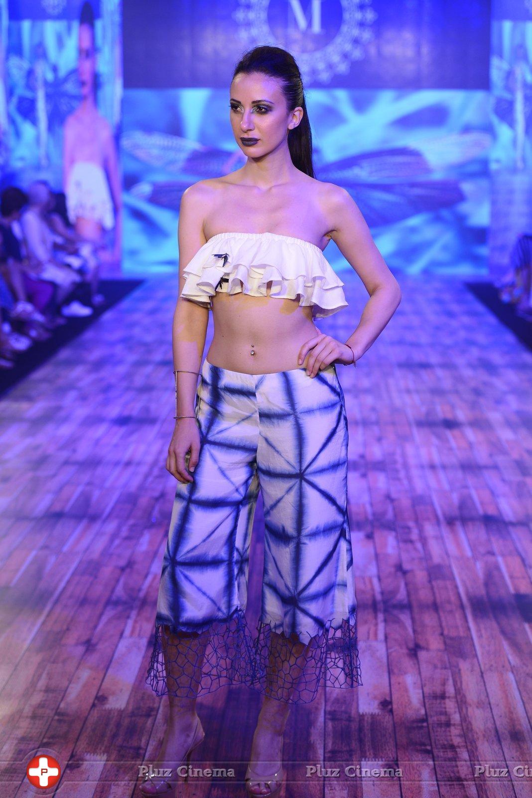 India Beach Fashion Week Day 1 All Shows with Showstoppers Stills | Picture 1321589