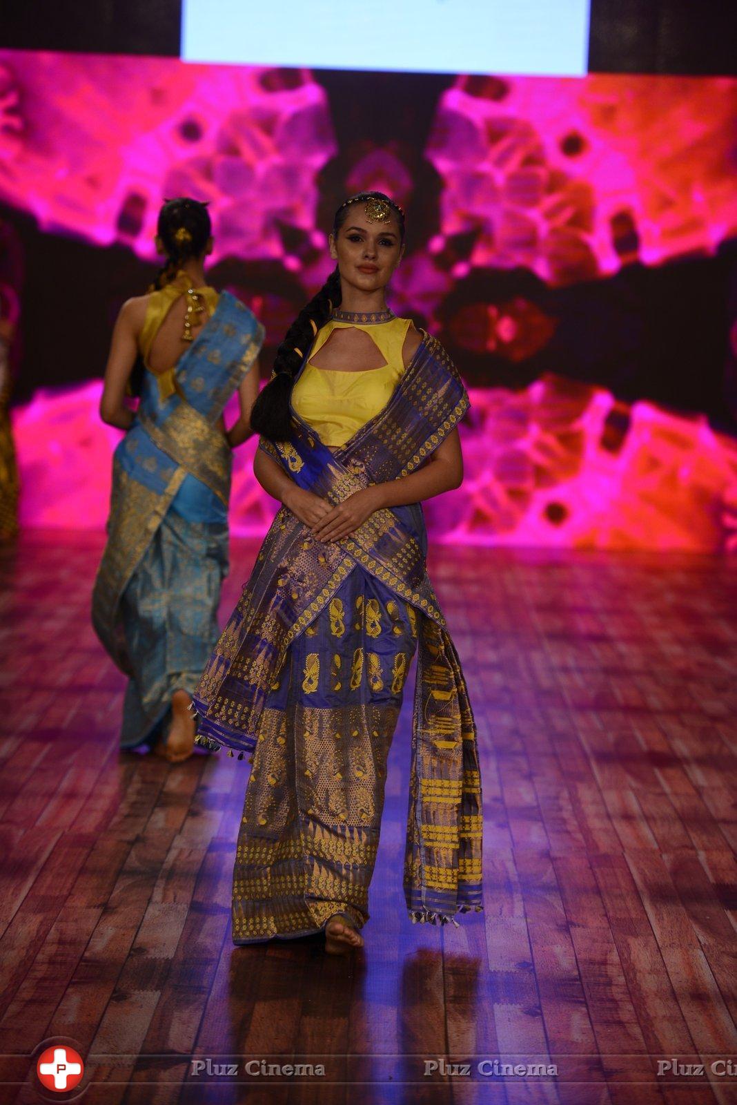 India Beach Fashion Week Day 1 All Shows with Showstoppers Stills | Picture 1321590