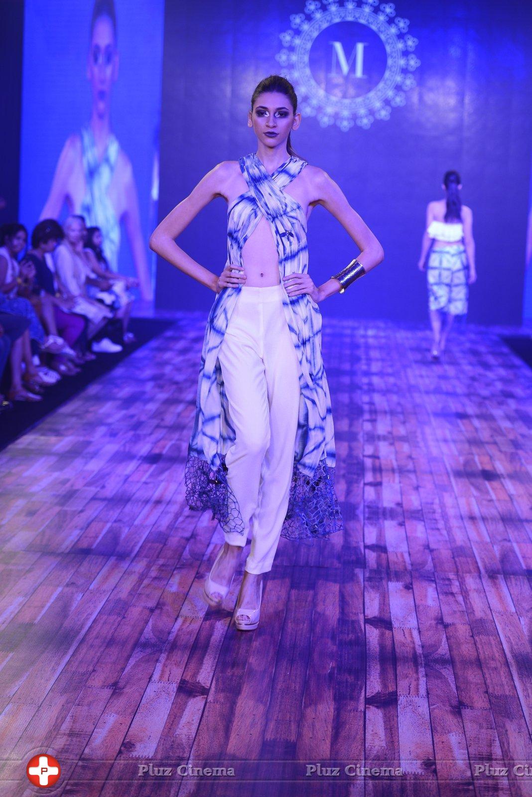 India Beach Fashion Week Day 1 All Shows with Showstoppers Stills | Picture 1321600