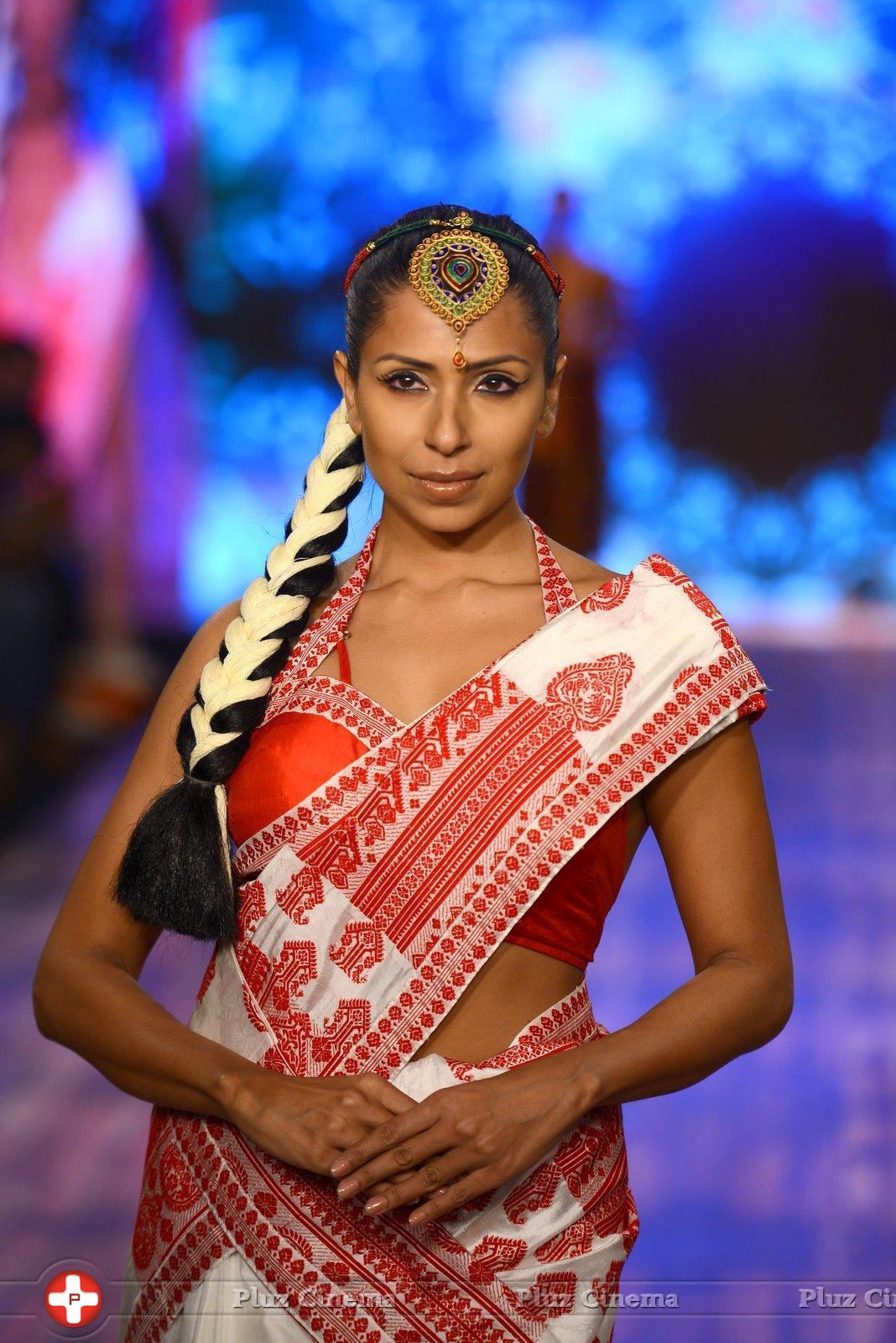 India Beach Fashion Week Day 1 All Shows with Showstoppers Stills | Picture 1321604