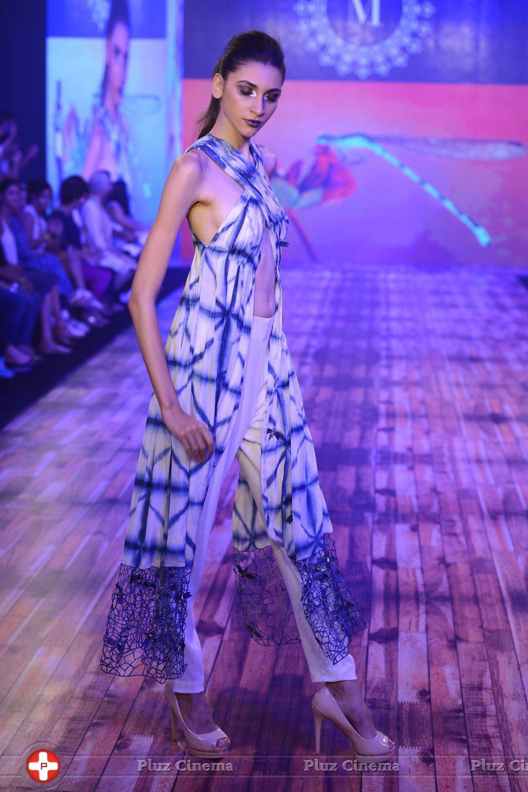 India Beach Fashion Week Day 1 All Shows with Showstoppers Stills | Picture 1321611