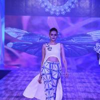 India Beach Fashion Week Day 1 All Shows with Showstoppers Stills | Picture 1321148
