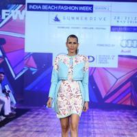 India Beach Fashion Week Day 1 All Shows with Showstoppers Stills | Picture 1321155