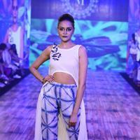 India Beach Fashion Week Day 1 All Shows with Showstoppers Stills | Picture 1321159