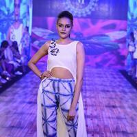 India Beach Fashion Week Day 1 All Shows with Showstoppers Stills | Picture 1321170