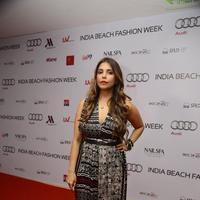 India Beach Fashion Week Day 1 All Shows with Showstoppers Stills | Picture 1321185