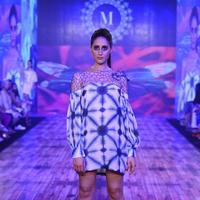 India Beach Fashion Week Day 1 All Shows with Showstoppers Stills | Picture 1321192