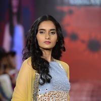 India Beach Fashion Week Day 1 All Shows with Showstoppers Stills | Picture 1321202