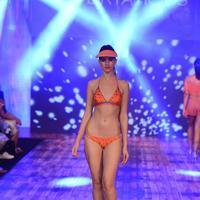 India Beach Fashion Week Day 1 All Shows with Showstoppers Stills | Picture 1321212