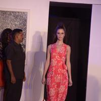 India Beach Fashion Week Day 1 All Shows with Showstoppers Stills | Picture 1321220