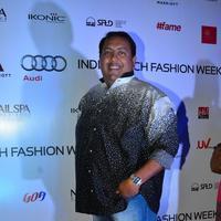 India Beach Fashion Week Day 1 All Shows with Showstoppers Stills | Picture 1321221