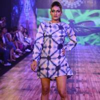 India Beach Fashion Week Day 1 All Shows with Showstoppers Stills | Picture 1321226