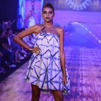 India Beach Fashion Week Day 1 All Shows with Showstoppers Stills | Picture 1321237