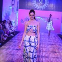 India Beach Fashion Week Day 1 All Shows with Showstoppers Stills | Picture 1321249