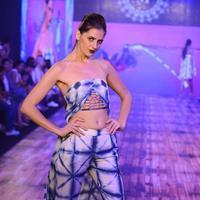 India Beach Fashion Week Day 1 All Shows with Showstoppers Stills | Picture 1321259