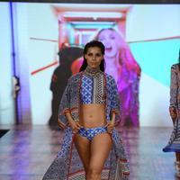 India Beach Fashion Week Day 1 All Shows with Showstoppers Stills | Picture 1321263