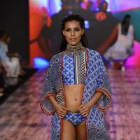 India Beach Fashion Week Day 1 All Shows with Showstoppers Stills | Picture 1321274