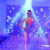 India Beach Fashion Week Day 1 All Shows with Showstoppers Stills | Picture 1321281