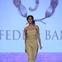 India Beach Fashion Week Day 1 All Shows with Showstoppers Stills | Picture 1321289