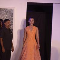 India Beach Fashion Week Day 1 All Shows with Showstoppers Stills | Picture 1321298