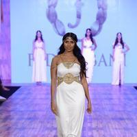 India Beach Fashion Week Day 1 All Shows with Showstoppers Stills | Picture 1321301