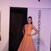 India Beach Fashion Week Day 1 All Shows with Showstoppers Stills | Picture 1321309