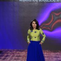 India Beach Fashion Week Day 1 All Shows with Showstoppers Stills | Picture 1321317