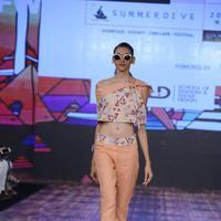 India Beach Fashion Week Day 1 All Shows with Showstoppers Stills | Picture 1321321