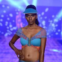 India Beach Fashion Week Day 1 All Shows with Showstoppers Stills | Picture 1321325