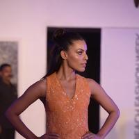 India Beach Fashion Week Day 1 All Shows with Showstoppers Stills | Picture 1321331