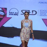 India Beach Fashion Week Day 1 All Shows with Showstoppers Stills | Picture 1321332