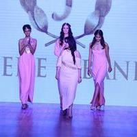 India Beach Fashion Week Day 1 All Shows with Showstoppers Stills | Picture 1321333