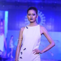 India Beach Fashion Week Day 1 All Shows with Showstoppers Stills | Picture 1321335