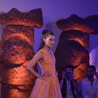 India Beach Fashion Week Day 1 All Shows with Showstoppers Stills | Picture 1321340