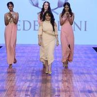 India Beach Fashion Week Day 1 All Shows with Showstoppers Stills | Picture 1321342