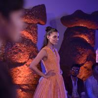 India Beach Fashion Week Day 1 All Shows with Showstoppers Stills | Picture 1321349