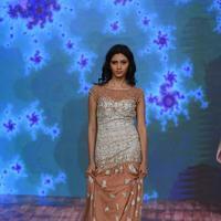 India Beach Fashion Week Day 1 All Shows with Showstoppers Stills | Picture 1321352