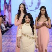 India Beach Fashion Week Day 1 All Shows with Showstoppers Stills | Picture 1321360