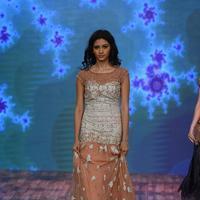 India Beach Fashion Week Day 1 All Shows with Showstoppers Stills | Picture 1321361