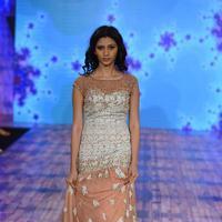 India Beach Fashion Week Day 1 All Shows with Showstoppers Stills | Picture 1321369