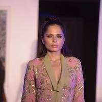 India Beach Fashion Week Day 1 All Shows with Showstoppers Stills | Picture 1321401