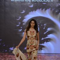 India Beach Fashion Week Day 1 All Shows with Showstoppers Stills | Picture 1321403