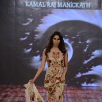 India Beach Fashion Week Day 1 All Shows with Showstoppers Stills | Picture 1321410