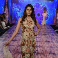 India Beach Fashion Week Day 1 All Shows with Showstoppers Stills | Picture 1321423