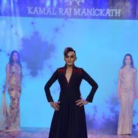 India Beach Fashion Week Day 1 All Shows with Showstoppers Stills | Picture 1321430